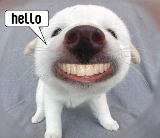 sweet-n-funny-hello.jpg