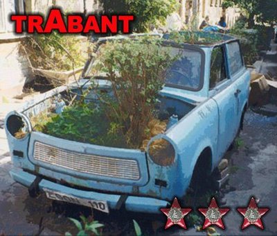 trabant - eco friendly chia car.jpg