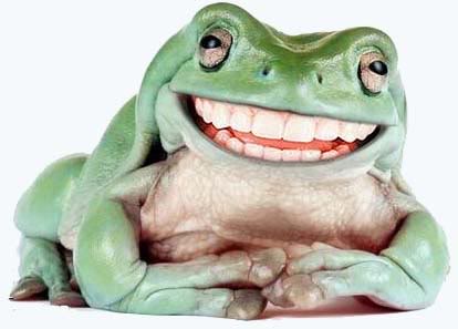 SmilingFrog.jpg