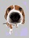 beagle_nose-90grey.jpg