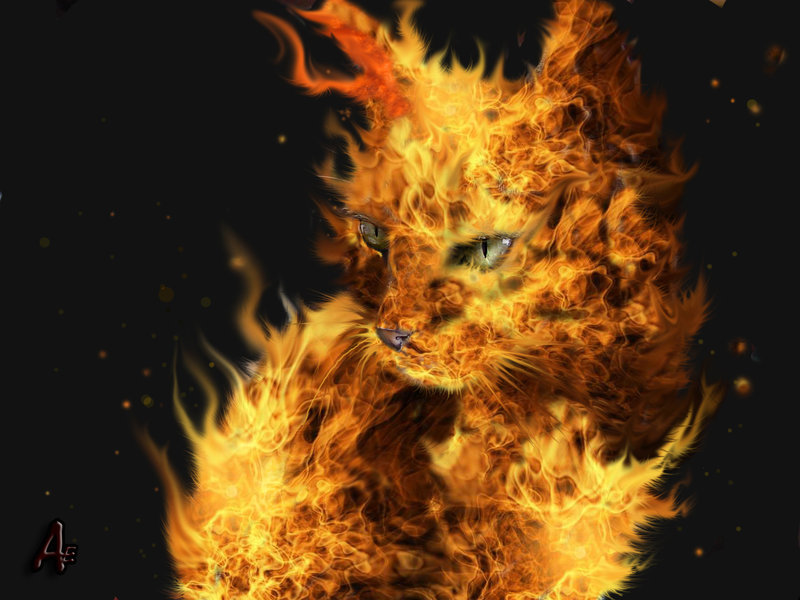 fire_cat_by_artelfic.jpg