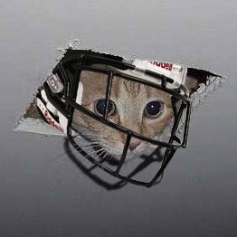 ceiling_cat_football.jpg