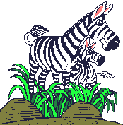 Zebra.gif