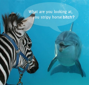 dolphins_hate_stripy_horses.jpg