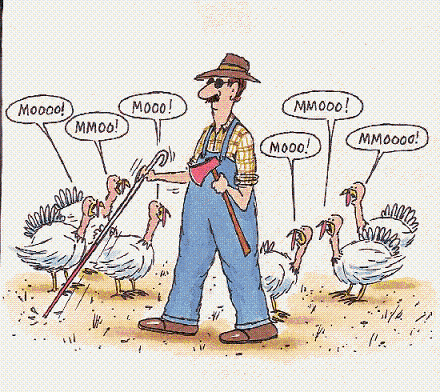 turkeys.gif