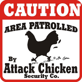 attack_chicken_attack_640.jpg