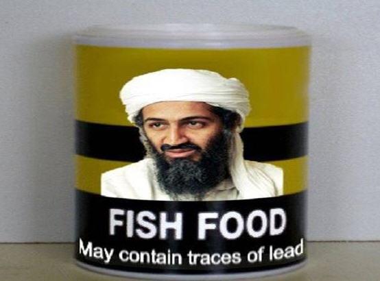 FishFood.JPG